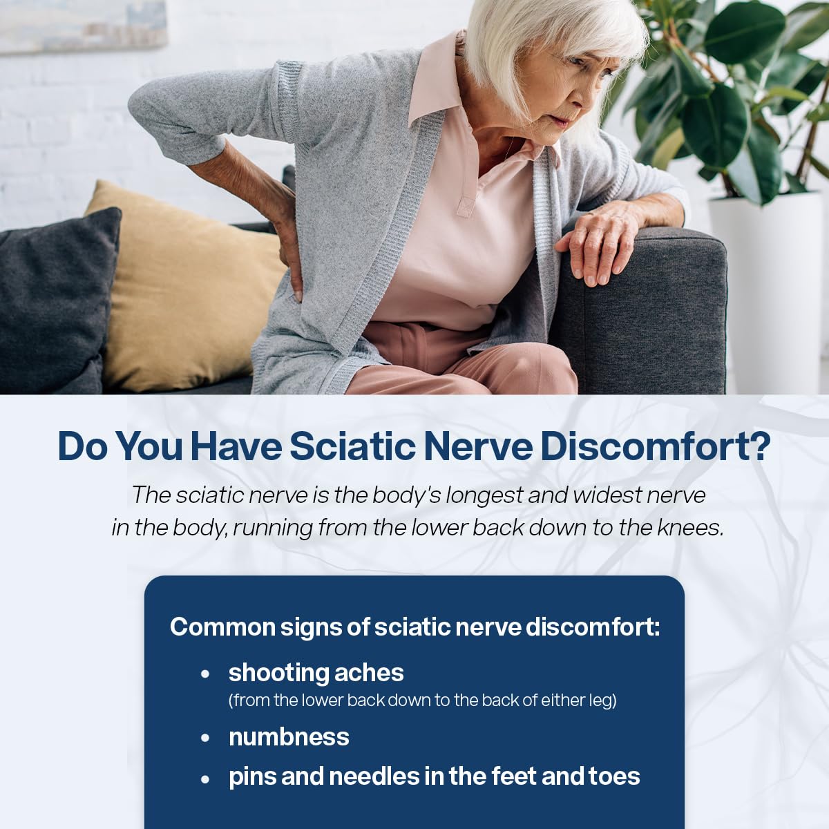 Sciatic Nerve Support Supplement with Alpha Palm, PEA & Vitamin B Complex